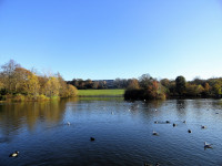 Saltwell Park